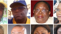 Pourquoi Ali Bongo a nommé les gouverneurs du Gabon dans leur province d’origine ?
